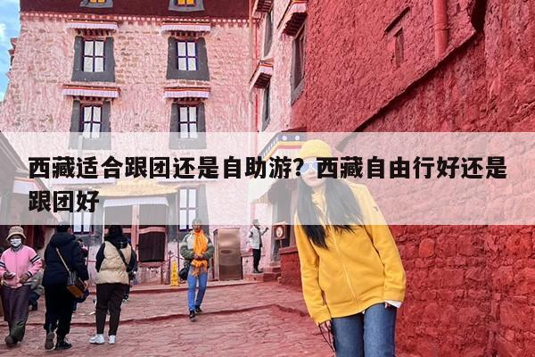 西藏适合跟团还是自助游？西藏自由行好还是跟团好