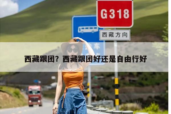 西藏跟团？西藏跟团好还是自由行好-第1张图片