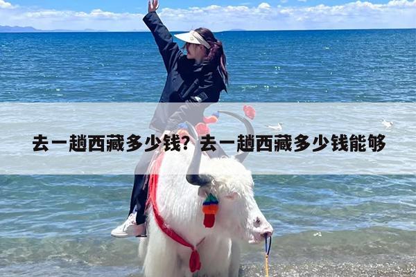 去一趟西藏多少钱？去一趟西藏多少钱能够-第1张图片