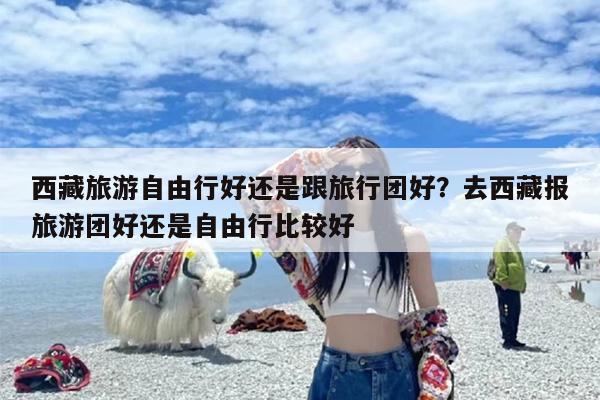 西藏旅游自由行好还是跟旅行团好？去西藏报旅游团好还是自由行比较好
