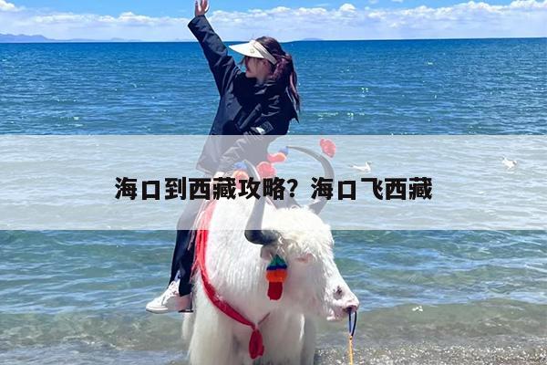 海口到西藏攻略？海口飞西藏