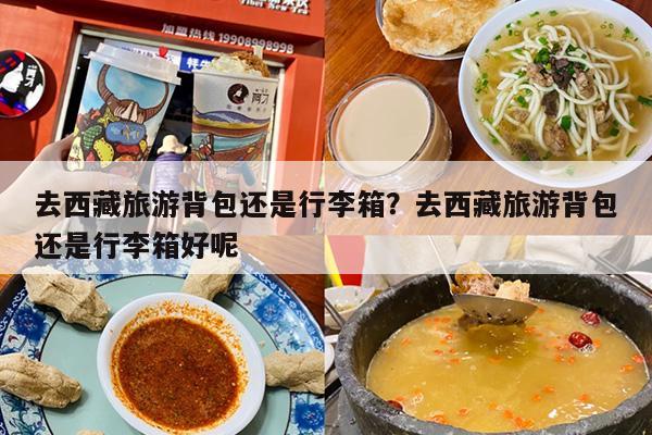 去西藏旅游背包还是行李箱？去西藏旅游背包还是行李箱好呢