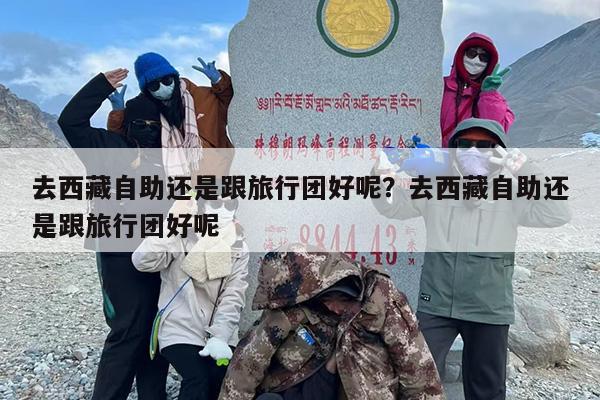 去西藏自助还是跟旅行团好呢？去西藏自助还是跟旅行团好呢
