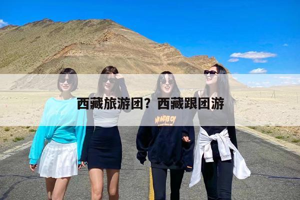 西藏旅游团？西藏跟团游