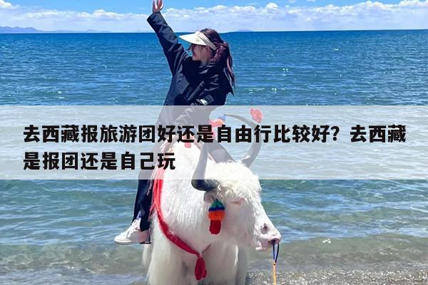去西藏报旅游团好还是自由行比较好？去西藏是报团还是自己玩