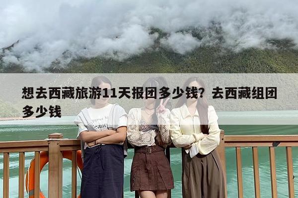 想去西藏旅游11天报团多少钱？去西藏组团多少钱