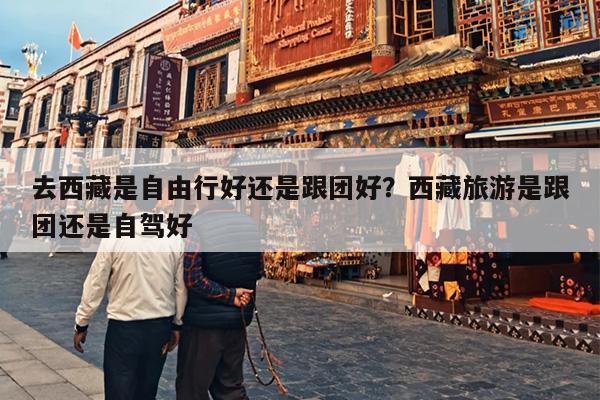 去西藏是自由行好还是跟团好？西藏旅游是跟团还是自驾好