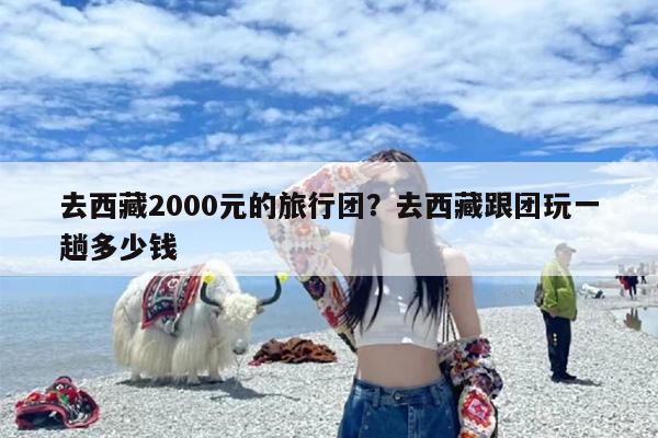 去西藏2000元的旅行团？去西藏跟团玩一趟多少钱