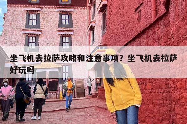 坐飞机去拉萨攻略和注意事项？坐飞机去拉萨好玩吗