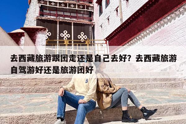 去西藏旅游跟团走还是自己去好？去西藏旅游自驾游好还是旅游团好