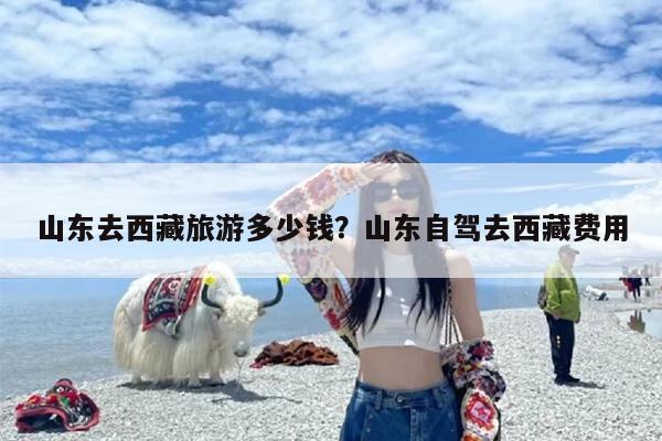 山东去西藏旅游多少钱？山东自驾去西藏费用-第1张图片
