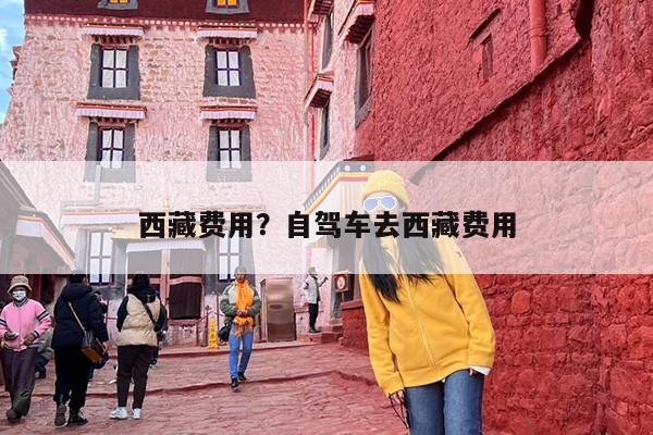 西藏费用？自驾车去西藏费用