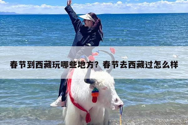 春节到西藏玩哪些地方？春节去西藏过怎么样