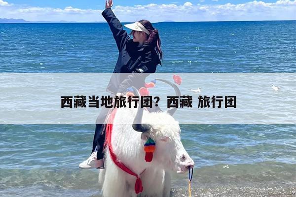 西藏当地旅行团？西藏 旅行团