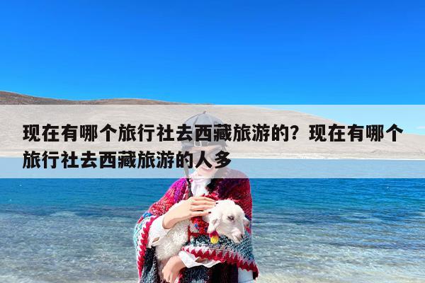 现在有哪个旅行社去西藏旅游的？现在有哪个旅行社去西藏旅游的人多