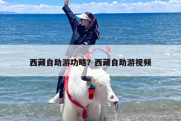 西藏自助游功略？西藏自助游视频