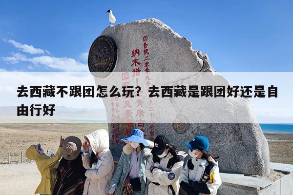 去西藏不跟团怎么玩？去西藏是跟团好还是自由行好