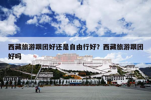 西藏旅游跟团好还是自由行好？西藏旅游跟团好吗