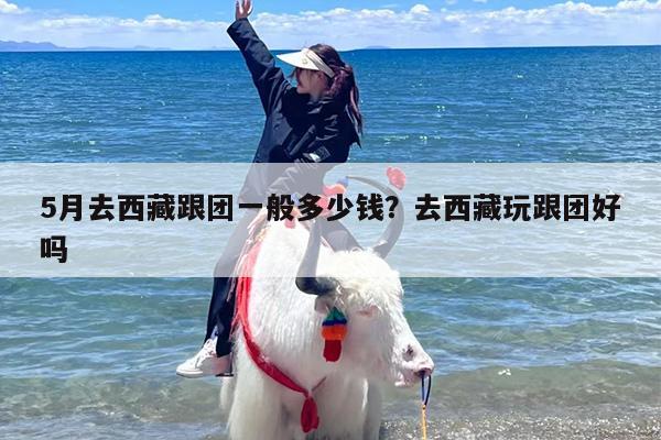 5月去西藏跟团一般多少钱？去西藏玩跟团好吗