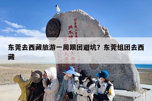 东莞去西藏旅游一周跟团避坑？东莞组团去西藏