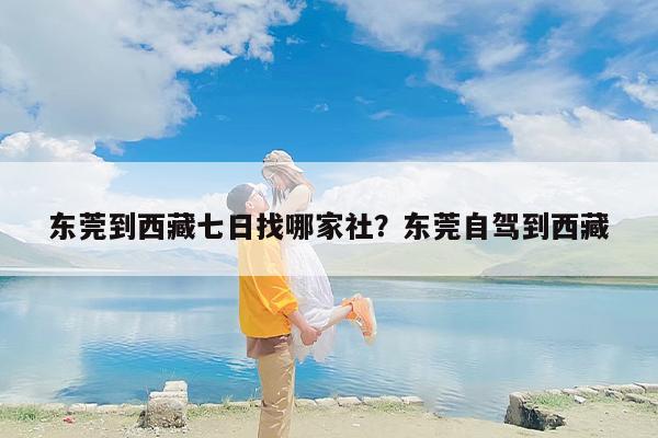 东莞到西藏七日找哪家社？东莞自驾到西藏