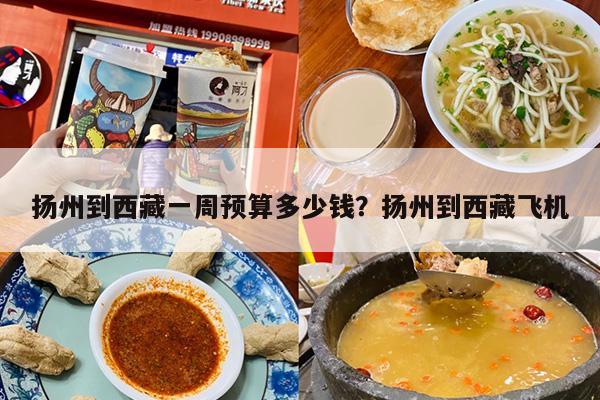 扬州到西藏一周预算多少钱？扬州到西藏飞机