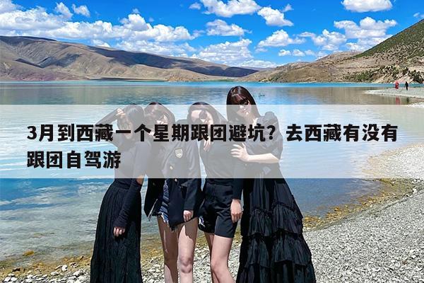 3月到西藏一个星期跟团避坑？去西藏有没有跟团自驾游