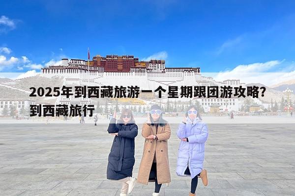 2025年到西藏旅游一个星期跟团游攻略？到西藏旅行