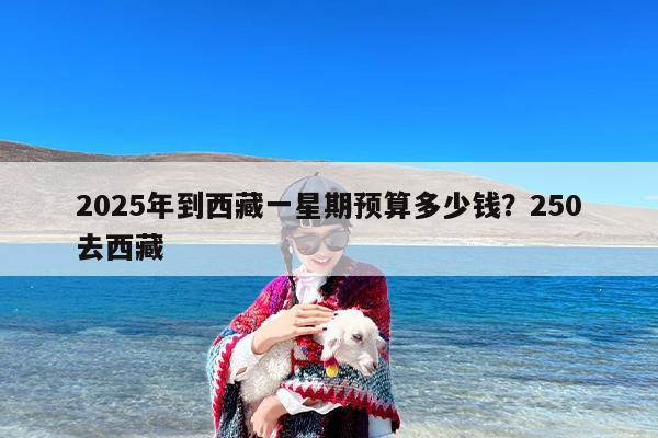 2025年到西藏一星期预算多少钱？250去西藏
