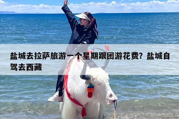 盐城去拉萨旅游一个星期跟团游花费？盐城自驾去西藏