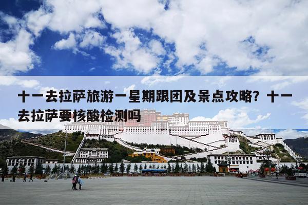 十一去拉萨旅游一星期跟团及景点攻略？十一去拉萨要核酸检测吗