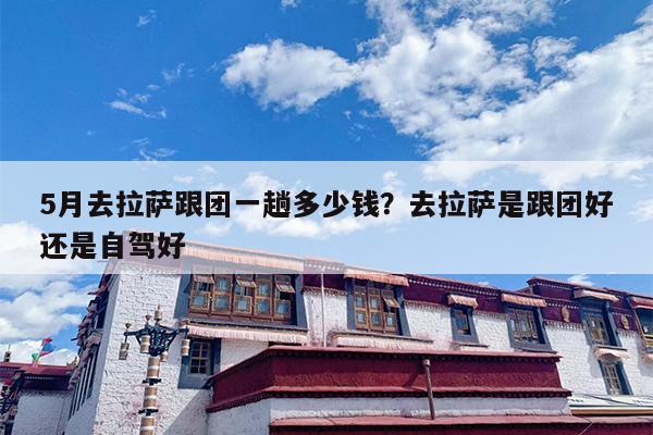 5月去拉萨跟团一趟多少钱？去拉萨是跟团好还是自驾好