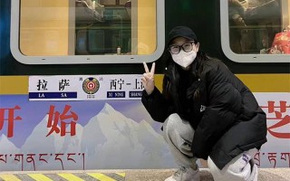 山东到西藏的火车路线